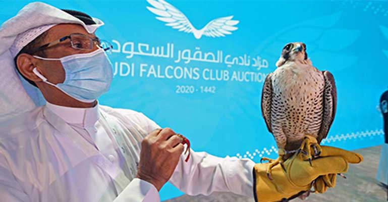 দেড় কোটি টাকায় বিক্রি হলো ফ্যালকন!