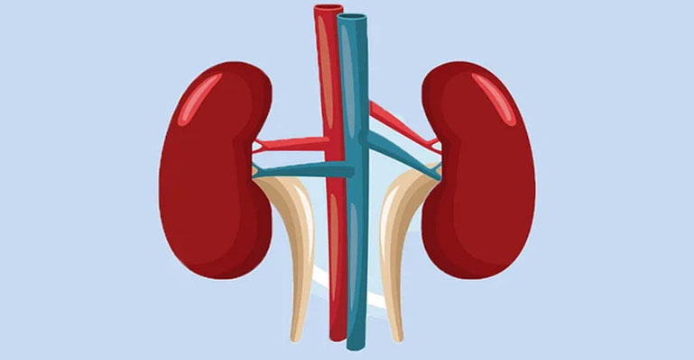 আজ বিশ্ব কিডনি দিবস