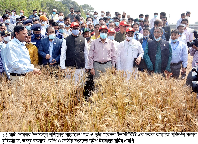 দিনাজপুরে সারা বিশ্বের উৎপাদিত কৃষি পণ্য ফলানো সম্ভব :  ড. আব্দুর রাজ্জাক