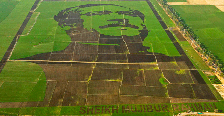 ‘শস্যচিত্রে বঙ্গবন্ধু’ গিনেস ওয়ার্ল্ড রেকর্ডসে