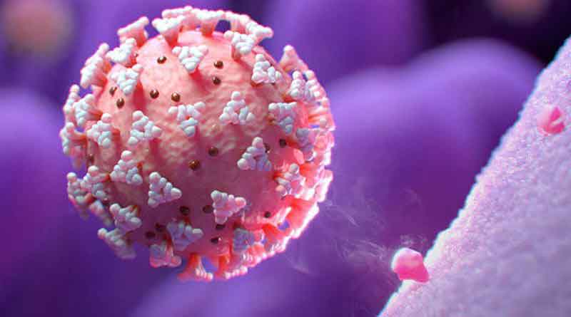 করোনায় আরও ১৮ মৃত্যু, শনাক্ত ৩৫৫৪