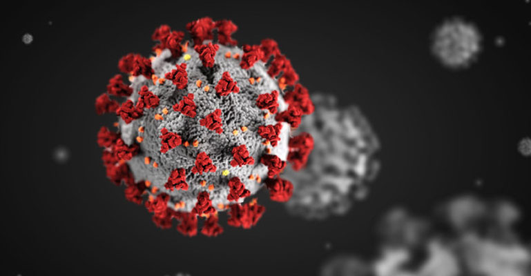 বিশ্বে করোনায় মৃত্যু ২৭ লাখ ৪৫ হাজার ছাড়াল