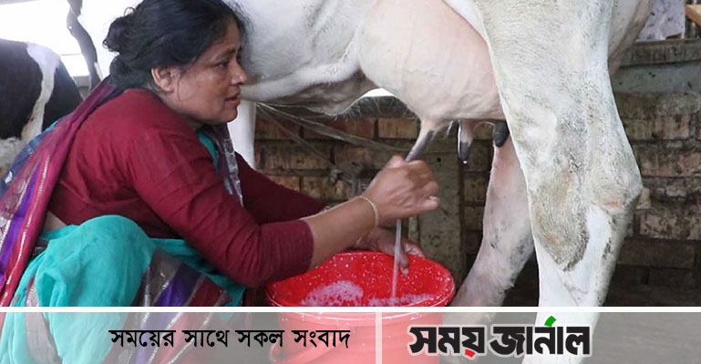 গরুর খামার বদলে দিয়েছে গোপালগঞ্জের জাহানারার জীবন