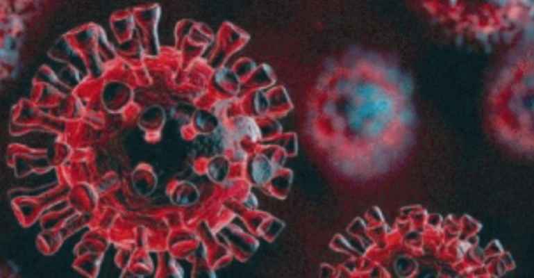 ভারতে গিয়ে করোনায় আক্রান্ত হচ্ছেন বাংলাদেশিরা