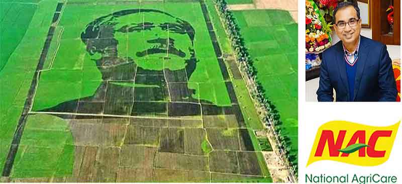 গিনেস রেকর্ডে শস্যচিত্রে বঙ্গবন্ধু ও ন্যাশনাল এগ্রিকেয়ার