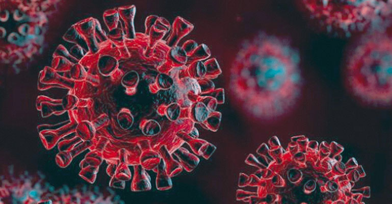 দেশে করোনার দক্ষিণ আফ্রিকার ধরনই বেশি ছড়াচ্ছে