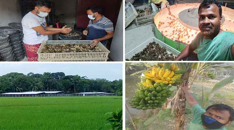 চাকরি ছেড়ে উদ্যোক্তা হন তাজুল-নাজমা দম্পতি