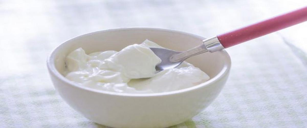 গরমে টক দই খাবেন যে কারণে