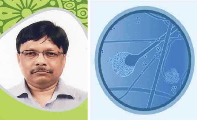 করোনাকাল : নতুন আতঙ্কের নাম ব্ল্যাক ফাঙ্গাস