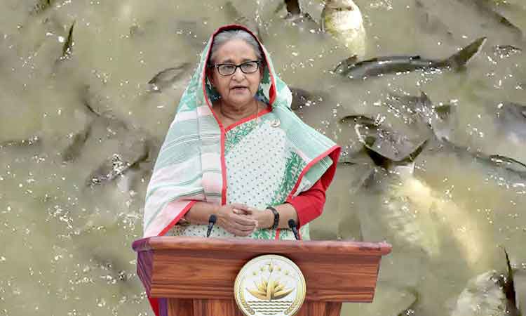 চাকরির পেছনে না ছুটে উদ্যোক্তা হোন : প্রধানমন্ত্রী