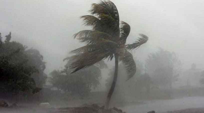 ইয়াসের প্রভাব : ঝড়ে গাছ ভেঙে একজন নিহত