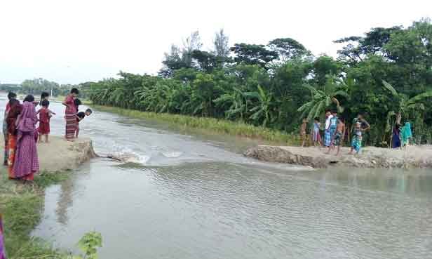 মেঘনার অতিরিক্ত জোয়ারের পানিতে লক্ষ্মীপুরের নিম্নাঞ্চল প্লাবিত
