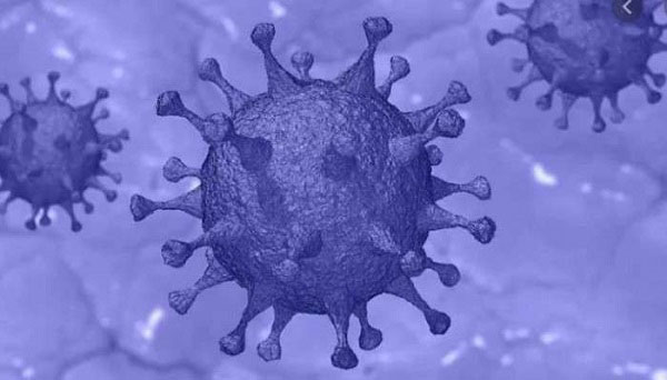 বিশ্বে করোনায় মৃত্যু ৩৫ লাখ ২৫ হাজার ছাড়াল