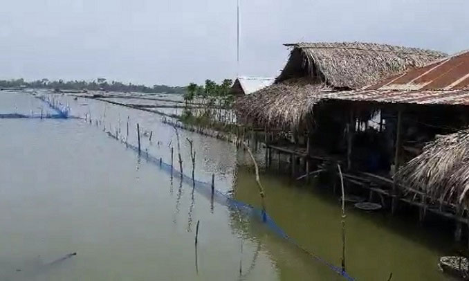 বাগেরহাটে ৫ হাজার মৎস্য ঘের পানির নিচে, ৫ কোটি টাকার ক্ষতি