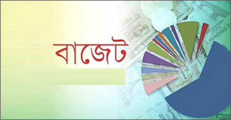 কোন খাতে কত বরাদ্দ