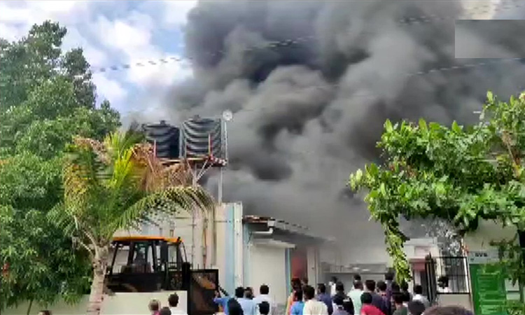 ভারতে স্যানিটাইজার কারখানায় আগুন, নিহত ১৭