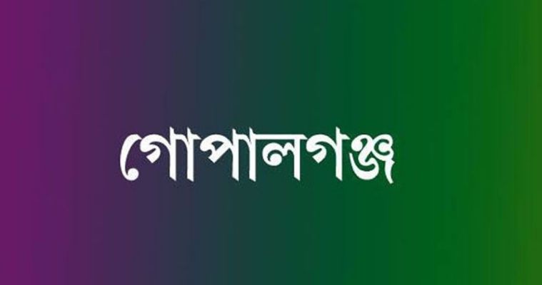 গোপালগঞ্জে চায়না ম্যাজিক জাল দিয়ে অবাধে মাছ নিধন