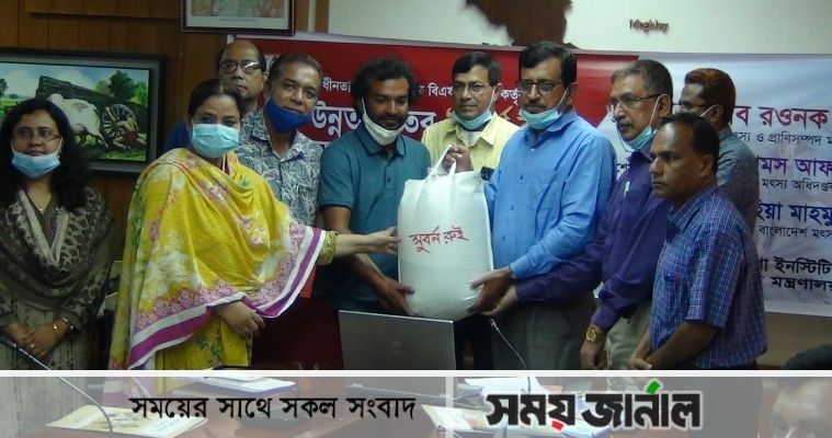 'সুবর্ণ রুই' অবমুক্ত করলো ময়মনসিংহ মৎস্য গবেষণা ইনস্টিটিউট
