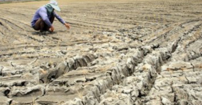 খাদ্য সংকটে উত্তর কোরিয়া!