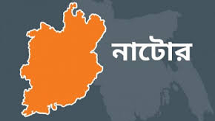 নাটোরের লালপুরের সিএনজির ধাক্কায় পথচারী নিহত