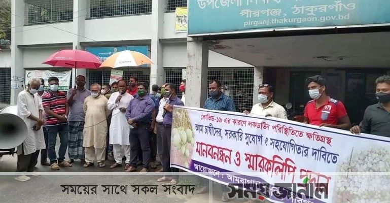 ঠাকুরগাঁওয়ে ক্ষতিগ্রস্ত আমচাষীদের মানববন্ধন