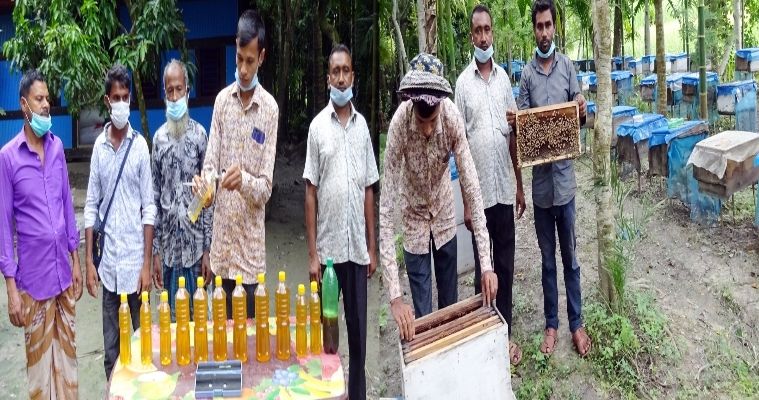 মোরেলগঞ্জে এপিস মেলিফেরা মৌ চাষে সাড়া জাগিয়েছে আরিফুল
