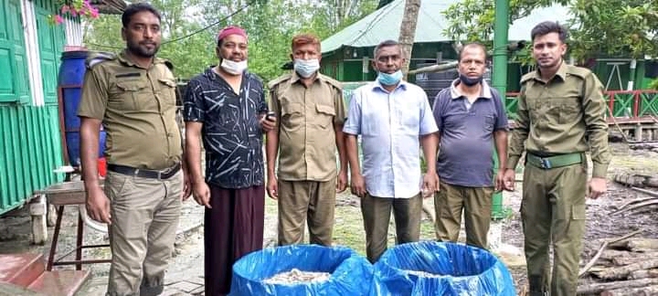 সুন্দরবন থেকে ২ ড্রাম মাছ জব্দ