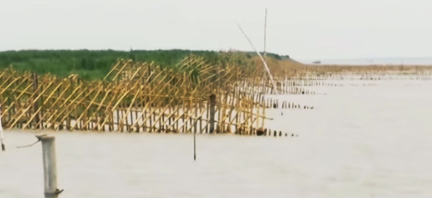 ব্যাম্বো ব্যান্ডেলিং'র মাধ্যমে ১৪ উপজেলায় নদী ভাঙ্গন প্রতিরোধ