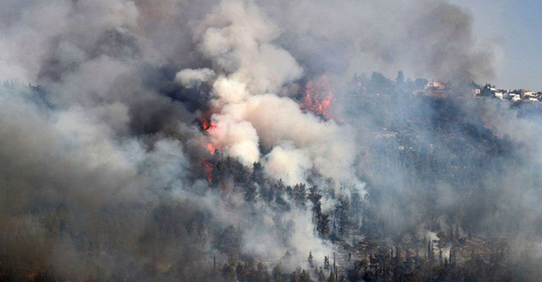 জেরুজালেমে ভয়াবহ দাবানল