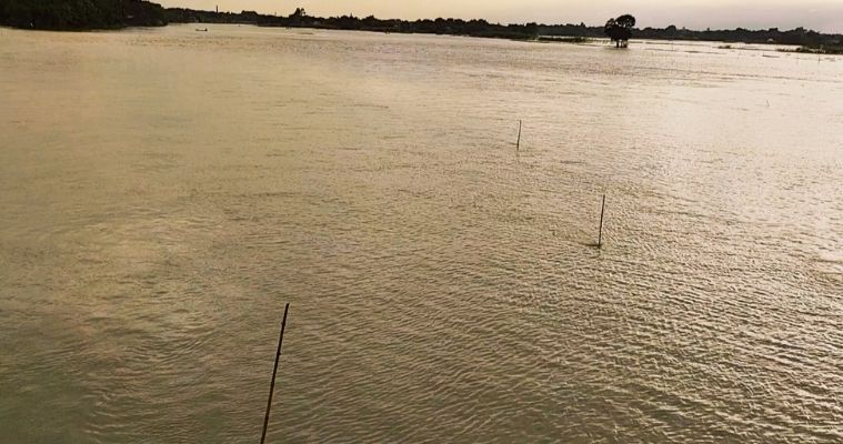 ফরিদপুরে পদ্মার পানি বিপদসীমার ২৫ সেন্টিমিটার ওপরে