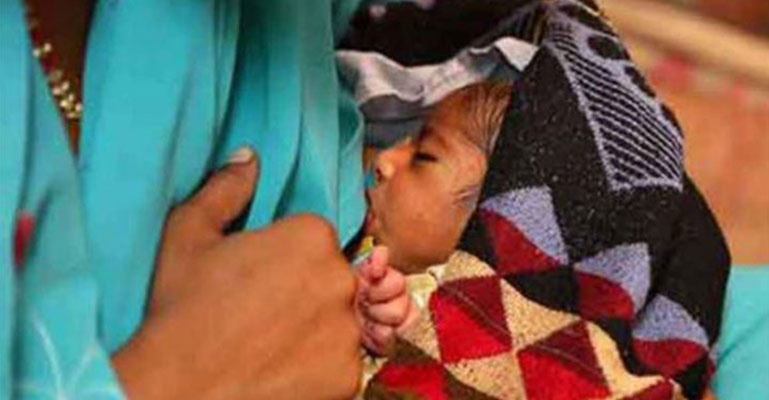 ‘সবুজ জাতির’ মর্যাদা পেল বাংলাদেশ