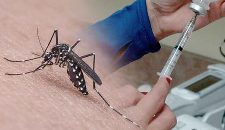 ডেঙ্গুর ভ্যাকসিনের জন্য অপেক্ষা আর কত