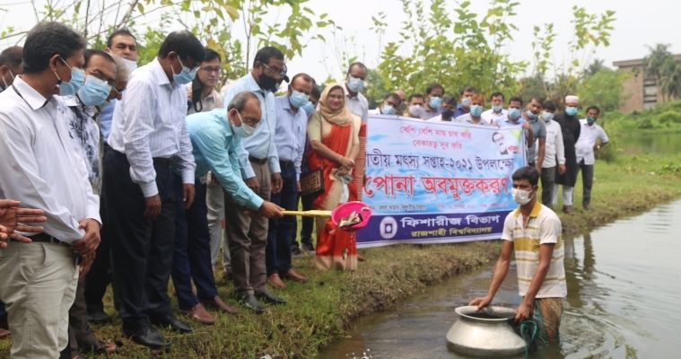 রাবিতে মৎস্য সপ্তাহ উদযাপিত