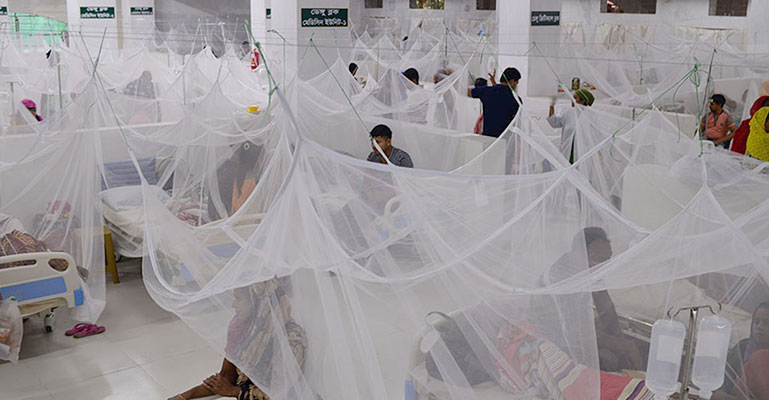 ডেঙ্গুতে রাজধানীর বিভিন্ন হাসপাতালে ভর্তি ২৩৩ জন
