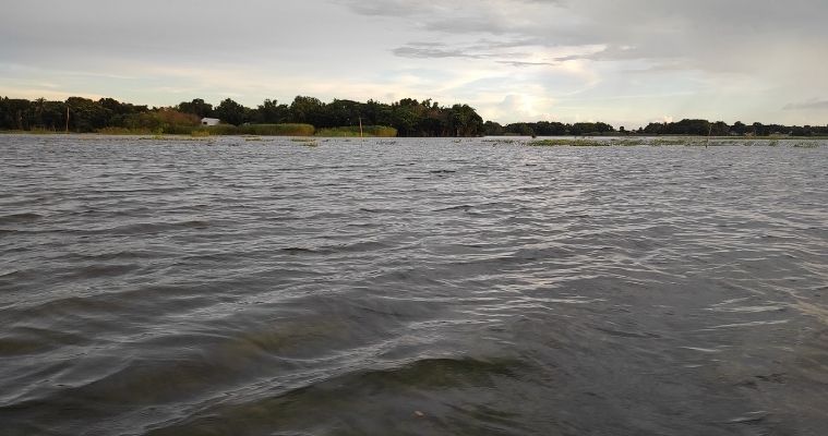 ফরিদপুরে বন্যা পরিস্থিতি উন্নতির পথে