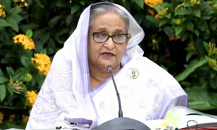 ৫ বিদ্যুৎকেন্দ্র উদ্বোধন করলেন প্রধানমন্ত্রী