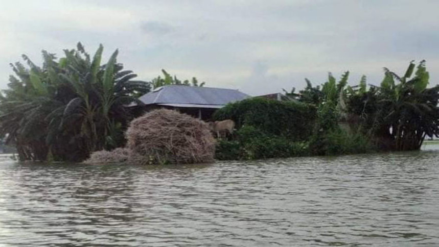 ২০৫০ সালের মধ্যে ২ কোটি বাংলাদেশি বাস্তুচ্যুত হতে পারেন