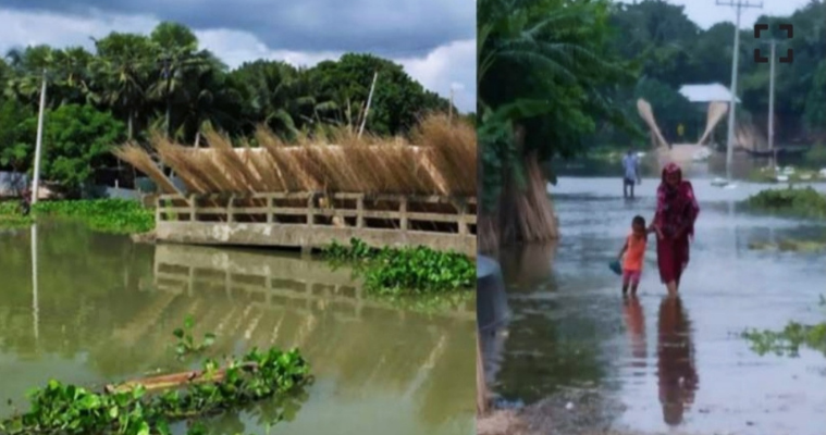 ফরিদপুরে ৫০ বছরেও উন্নয়নের ছোঁয়া লাগেনি যে গ্রামটিতে