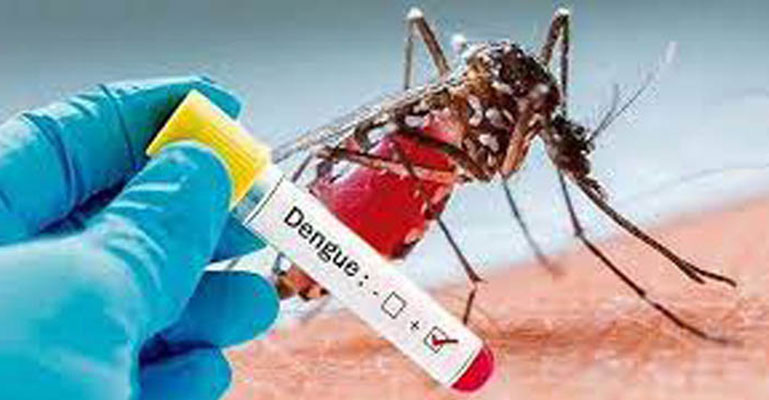 ডেঙ্গু আক্রান্তে হাসপাতালে আরও ভর্তি ১৬৩
