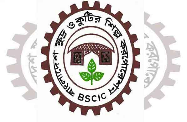 ৪৯৩ উপজেলায় প্রদর্শনী ও বিপণন কেন্দ্র করবে বিসিক