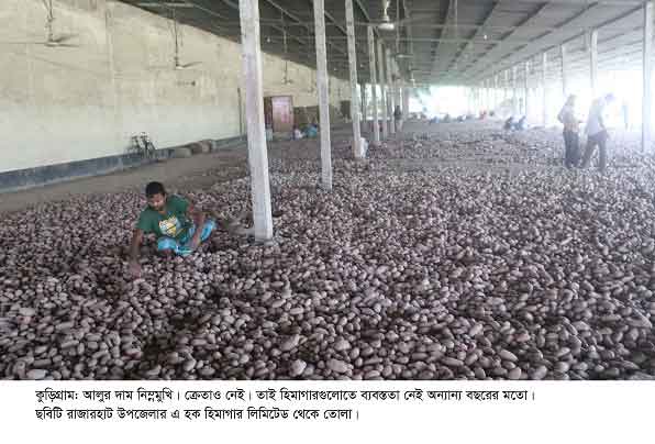 কুড়িগ্রামে ক্রেতা সংকট : বিপুল পরিমাণ আলু অবিক্রিত থাকার আশঙ্কা