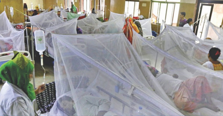ডেঙ্গুতে হাসপাতালে ভর্তি আরও ২০৭