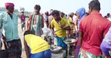 ইলিশ ধরা বন্ধ, তাও পদ্মা-যমুনার পাড়ে বসছে  হাট