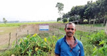 বীজ উৎপাদনে সফল হায়দার আলী