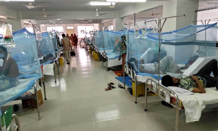 ডেঙ্গুতে আরও ১৭৩ জন হাসপাতালে ভর্তি