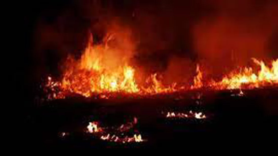 শ্রেণিকক্ষে আগুনে প্রাণ গেল ২৬ শিশুর