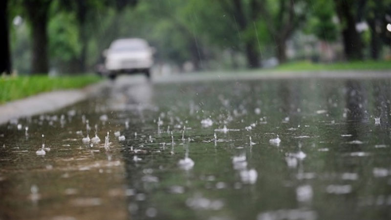 আগামী ৩ দিনে বাড়তে পারে বৃষ্টি