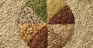 সফটওয়্যারের মাধ্যমে ঠিক হবে ফসলের ডিমান্ড ও সাপ্লাই