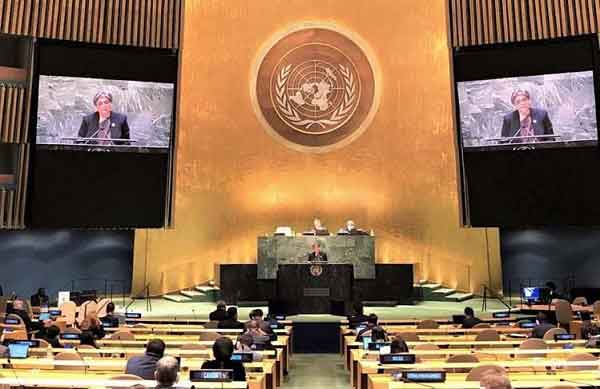 ইসরাইলি আগ্রাসন বন্ধে সত্যিকারের প্রচেষ্টা নিতে হবে : রাবাব ফাতিমা