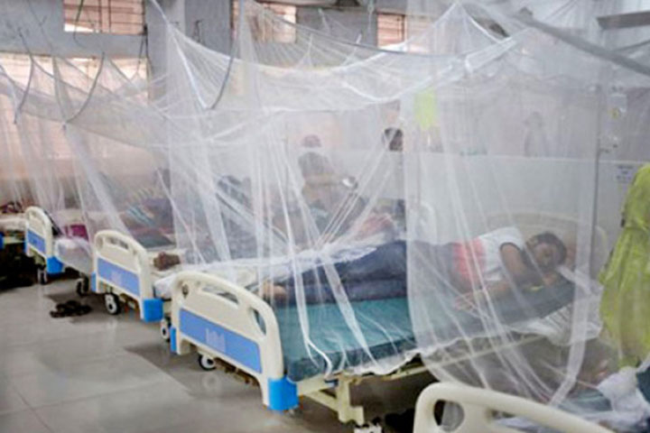 ডেঙ্গুতে আক্রান্ত হয়ে আরও ৩৫ জন হাসপাতালে ভর্তি